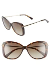 Longchamp 56mm Gradient Lens Butterfly Sunglasses - Black In Dark Havana