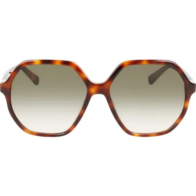 Longchamp 58mm Le Pliage Modified Rectangle Sunglasses In Brown