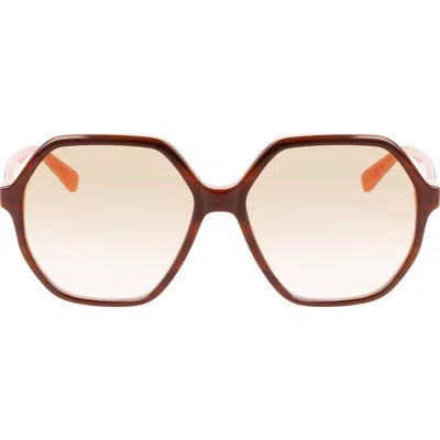 Longchamp 58mm Le Pliage Modified Rectangle Sunglasses In Havana/rose
