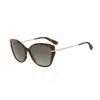 Longchamp Brown Gradient Butterfly Ladies Sunglasses Lo627s 214 57 In Brown
