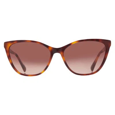 Longchamp Brown Gradient Cat Eye Ladies Sunglasses Lo659s 214 57