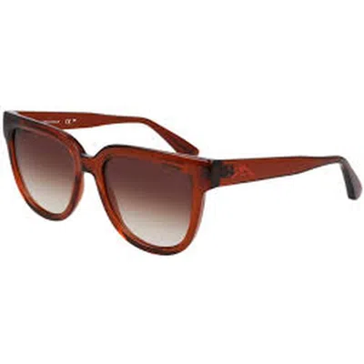 Longchamp Brown Gradient Cat Eye Ladies Sunglasses Lo755s 830 52
