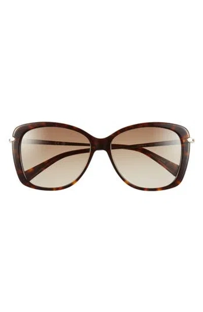 Longchamp Butterfly Gradient Sunglasses In Brown
