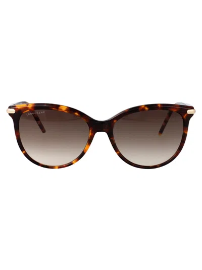 LONGCHAMP LONGCHAMP HAVANA ACETATE SUNGLASSES