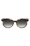 Longchamp Heritage 55mm Gradient Round Sunglasses In Striped Brown