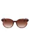 Longchamp Heritage 55mm Gradient Round Sunglasses In Textured Red