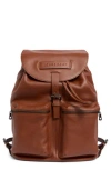 Longchamp Lc3d Large Leather Backpack In Brown