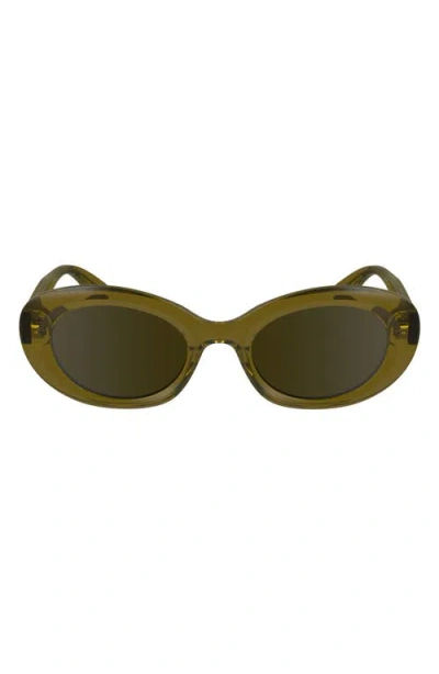 Longchamp Le Pliage 50mm Oval Sunglasses In Transparent Brown