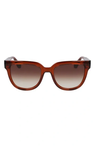 Longchamp Le Pliage 52mm Round Sunglasses In Brown