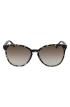 Longchamp Le Pliage 53mm Gradient Cat Eye Sunglasses In Havana Aqua/ Brown