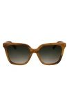 Longchamp Le Pliage 55mm Gradient Butterfly Sunglasses In Striped Brown