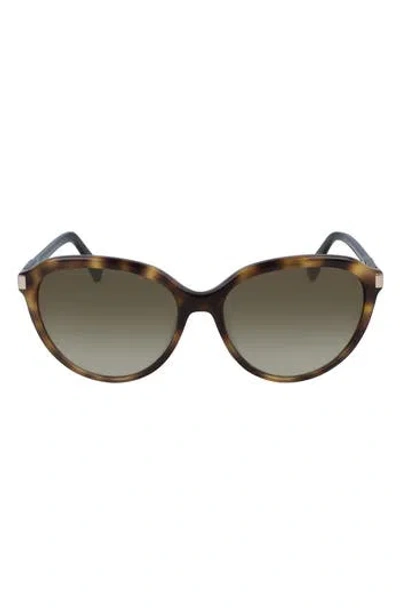 Longchamp Le Pliage 56mm Gradient Tea Cup Sunglasses In Brown