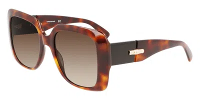 Longchamp Lo713s 230 Men's Sunglasses Tortoiseshell Size 53 In Brown