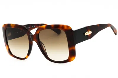 Longchamp Lo713s Tortoiseshell Acetate Sunglasses In Multi