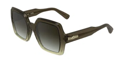 Longchamp Lo790s 207 Occhiali Da Sole Marroni Per Donna