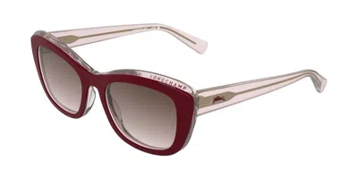 Longchamp Lo817s 623 Women's Sunglasses Pink Size 53 In Burgundy On Transparent Rose Pink