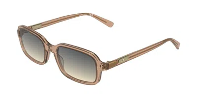 Longchamp Lo818s 200 Women's Sunglasses Brown Size 53 In Transparent Brown