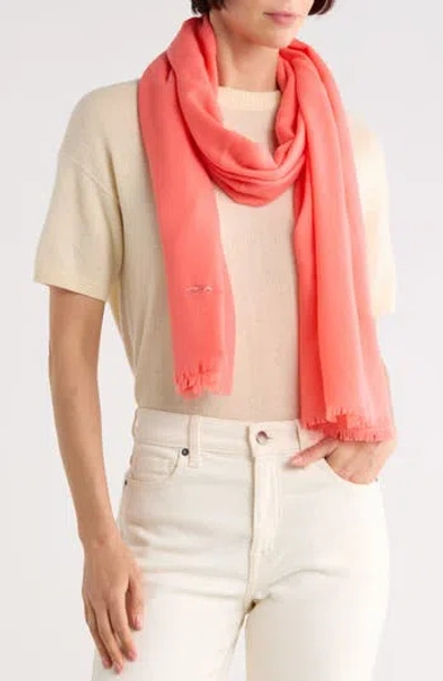 Longchamp Palette Scarf In Transparent