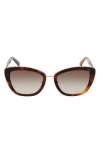 Longchamp Roseau 53mm Gradient Rectangle Sunglasses In Brown