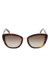 Longchamp Roseau 53mm Gradient Rectangle Sunglasses In Havana/brown