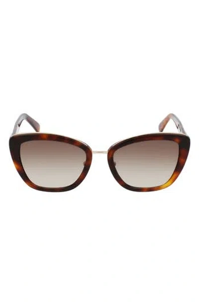 Longchamp Roseau 53mm Gradient Rectangle Sunglasses In Brown