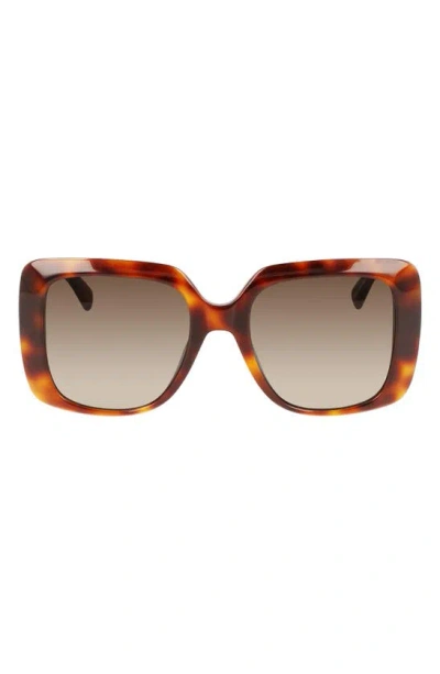 Longchamp Roseau 53mm Gradient Square Sunglasses In Brown