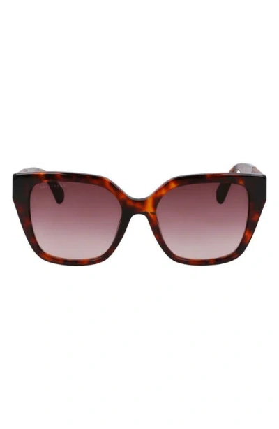 Longchamp Roseau 54mm Butterfly Sunglasses In Dark Havana