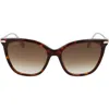 Longchamp Roseau 55mm Rectangular Sunglasses In Dark Havana