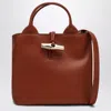 Longchamp S Le Roseau Hobo Bag In Bark Colour