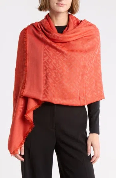 Longchamp Scarf In Brown