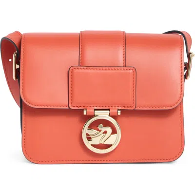 Longchamp Small Crossbody Bag In Brown