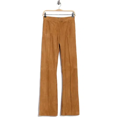 Longchamp Suede Trousers In Honey