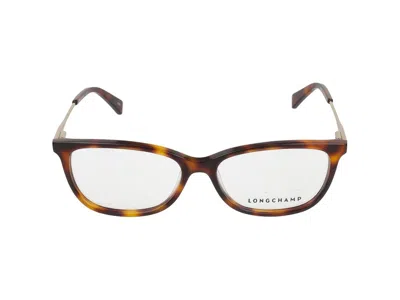 Longchamp Sunglasses  Lo2675 226 Warm Havana /15/140 In Brown