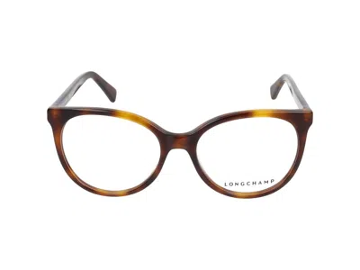 Longchamp Sunglasses  Lo2699 230 Havana /17/140 In Brown