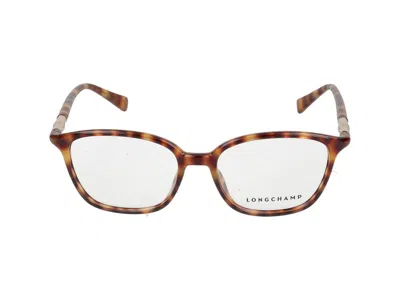 Longchamp Sunglasses  Lo2706 230 Havana /16/140 In Brown