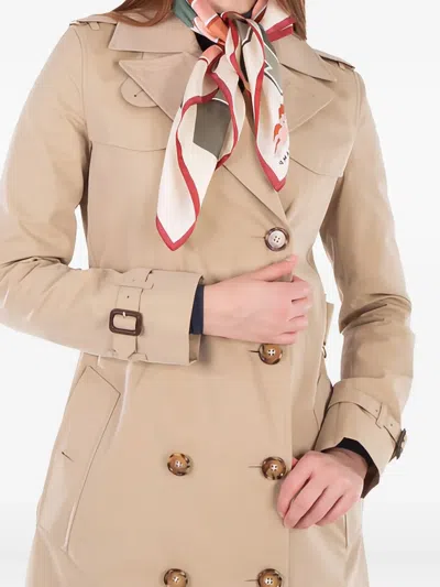 Longchamp University Scarf In Multi