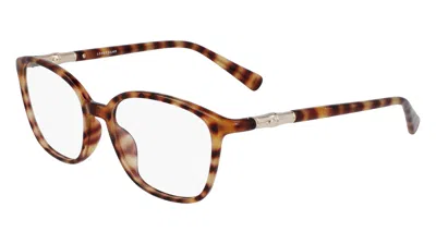 Longchamp Women's 52mm Havana Opticals In Brown