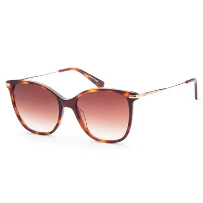 Longchamp Women's 54mm Havana Sunglasses In Brown