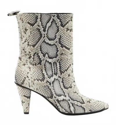 Longchamp Women's Python Print Leather Ankle Boots In Multi In Animal Print