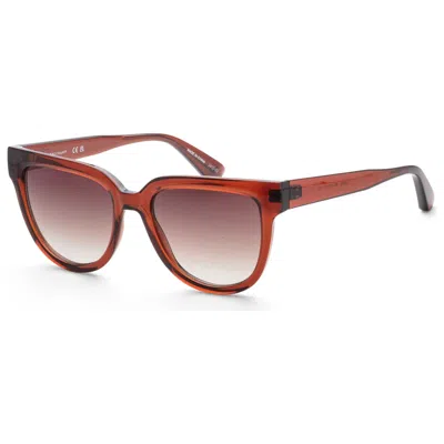 Longchamp Women's Sunglasses In Brown