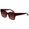 Longchamp Women's Sunglasses In Brown