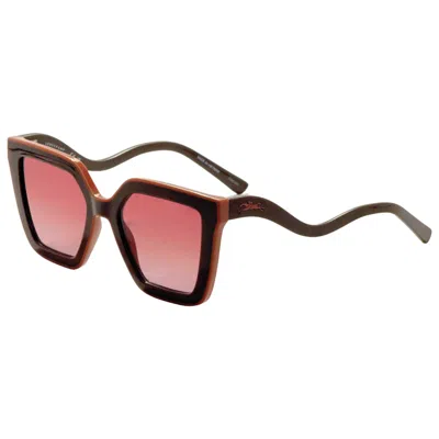 Longchamp Women's Sunglasses In Brown