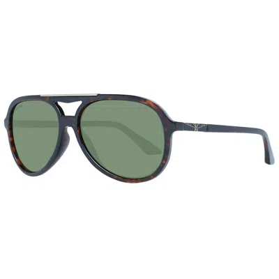 Longines Brown Men Sunglasses In Green