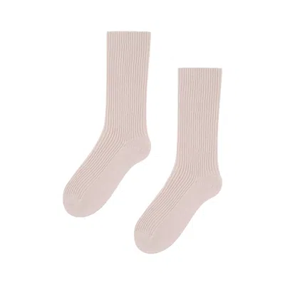 Loop Cashmere Women's Cashmere Sock In Soft Ballet Pink In Neutral