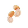 Loop United States Earplugs For Sleeping & Comfort In Peach