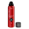 L'oreal Infallible 3-second Setting Spray - 3.9 oz