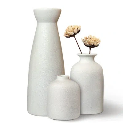 Lorell Ceramic Vases Set Of 3 In Baise