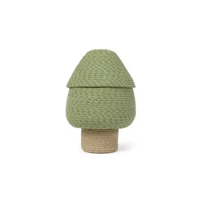 Lorena Canals Back To School Box In Green