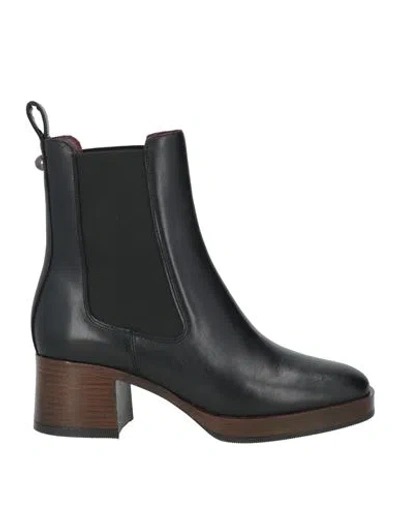 Lorenzo Mari Woman Ankle Boots Black Size 6 Calfskin