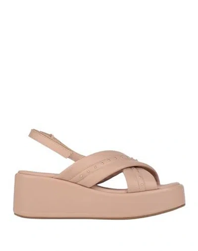 Lorenzo Mari Woman Sandals Blush Size 11 Leather In Pink